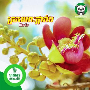 ស្រណោះផ្ការាំង - ភ្លេងសុទ្ធ
