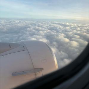 ก่อนดารา