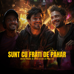 Sunt cu fratii de pahar (Remix)