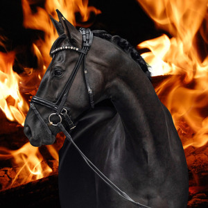 Hot Horse