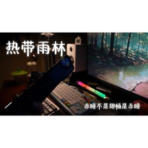 热带雨林（吉他小段