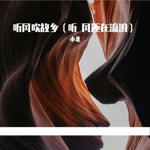 听风吹故乡(听 风还在流浪)
