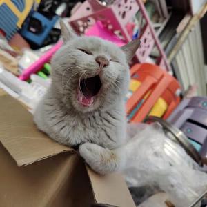 你是人间四月天[1]