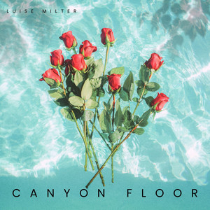 Canyon Floor
