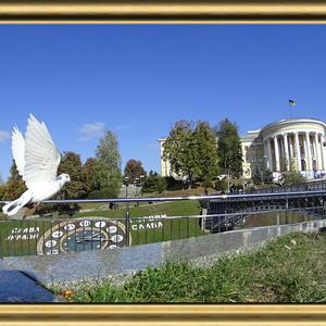 PALYANYTSIA i migliori innovatori sono le persone che devono farlo altrimenti moriranno il giorno successivo LYUTY BAYRAKTAR (ex NO RE-WIND)