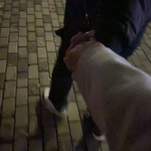 咚咚晗咚（Prod. by SmileYan）