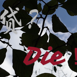 贷?Die!(Prod.by Gr33nart Beats）