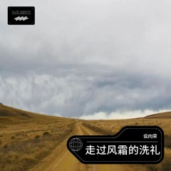 走过风霜的洗礼