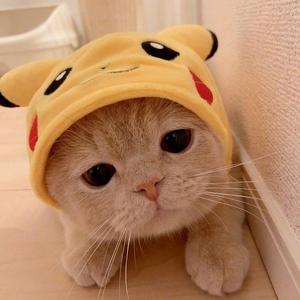 门没锁（男声版）