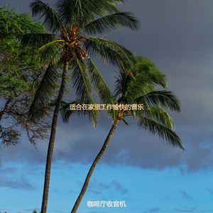 适合办公室工作清新的音乐