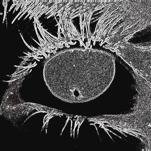 IMITATE ANYTHING YOU WANT