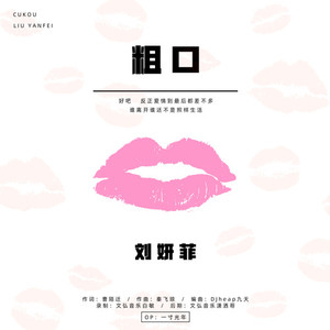 粗口 (DJ抖音版)