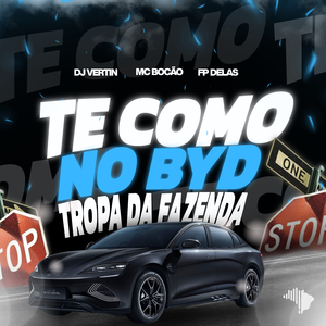 TE COMO NO BYD x TROPA DA FAZENDA