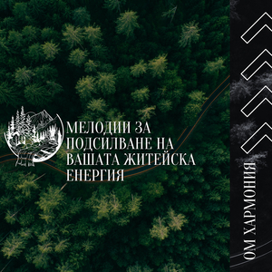 Дзен Йога Спокойствие