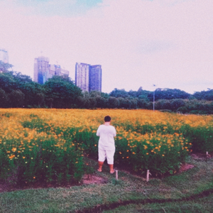 อยู่ในมุม