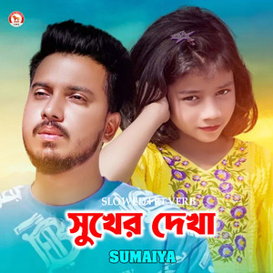 Sukher Dekha (Slowed+Reverb)