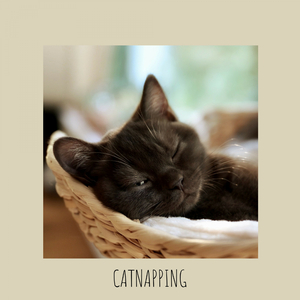 Snoozing