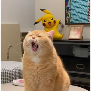 金桂飘香时月满西楼