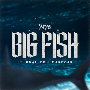 Big Fish (feat. Knaller & Mardo4k)
