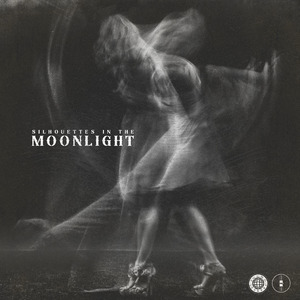 Silhouettes in the Moonlight (Radio Edit)