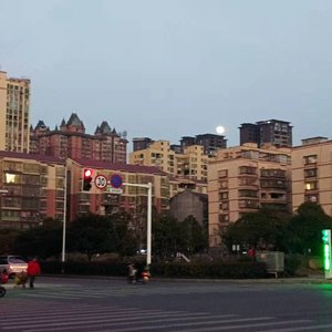 新鲜感（钢琴版）