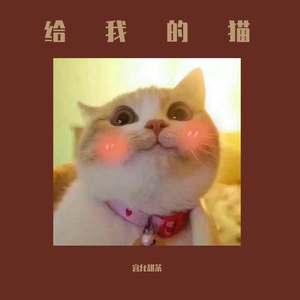 给我的猫