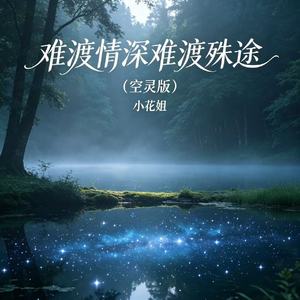 难渡情深难渡殊途(空灵版)