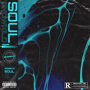 Soul (prod.NIHCONNOR/tired)