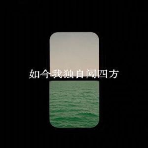如今我独自闯四方