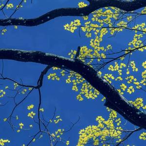 过期的电影票根