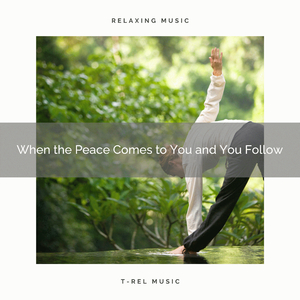 Melodies to Meditate, Gain Inner Peace and Get Better