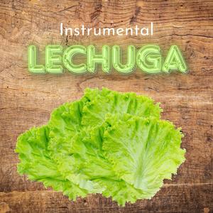 Lechuga (Instrumental Version)