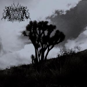 Sad Movies (feat. Putrefactus)