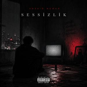 Sessizlik