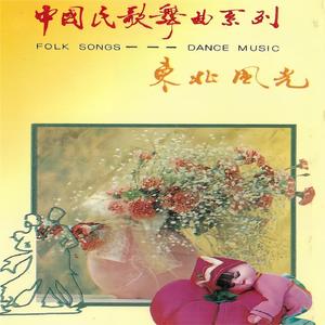 母亲的恩情 (慢四)