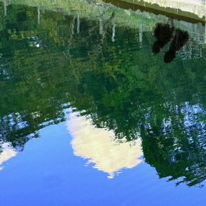 หรือฉันควรพอ