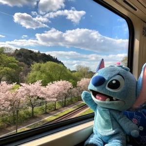 坏女孩（温柔女生版）