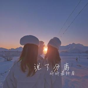 说了分离 (Cover 潘业成)