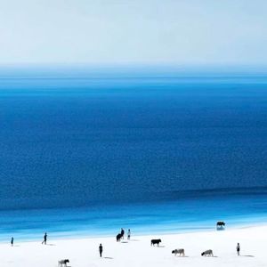 小小姑娘_3294632