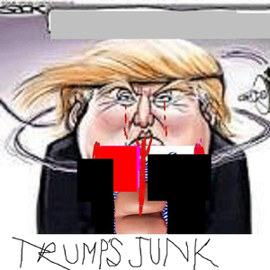 Trump's Junk