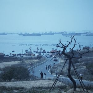 那个雨夜我从路灯下向你告别