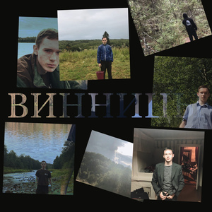 Вепсский лес
