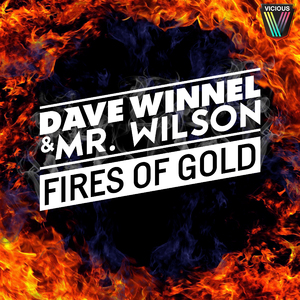 Fires Of Gold (Original Mix)