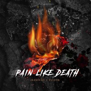 PAIN LIKE DEATH（死一样痛过）