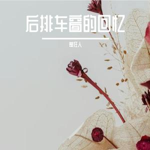 后排车窗的回忆