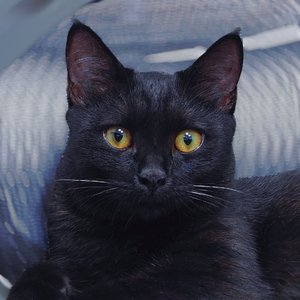 清场(我是我自己的呀)