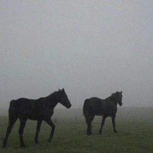 亦是此间少年demo