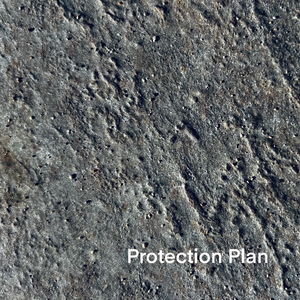 Protection Plan