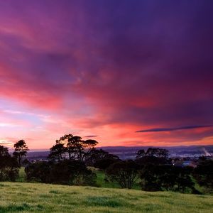 与多多的一百天之恋