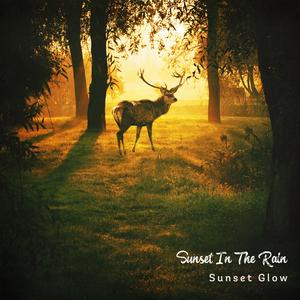 A Fragment Of A Star